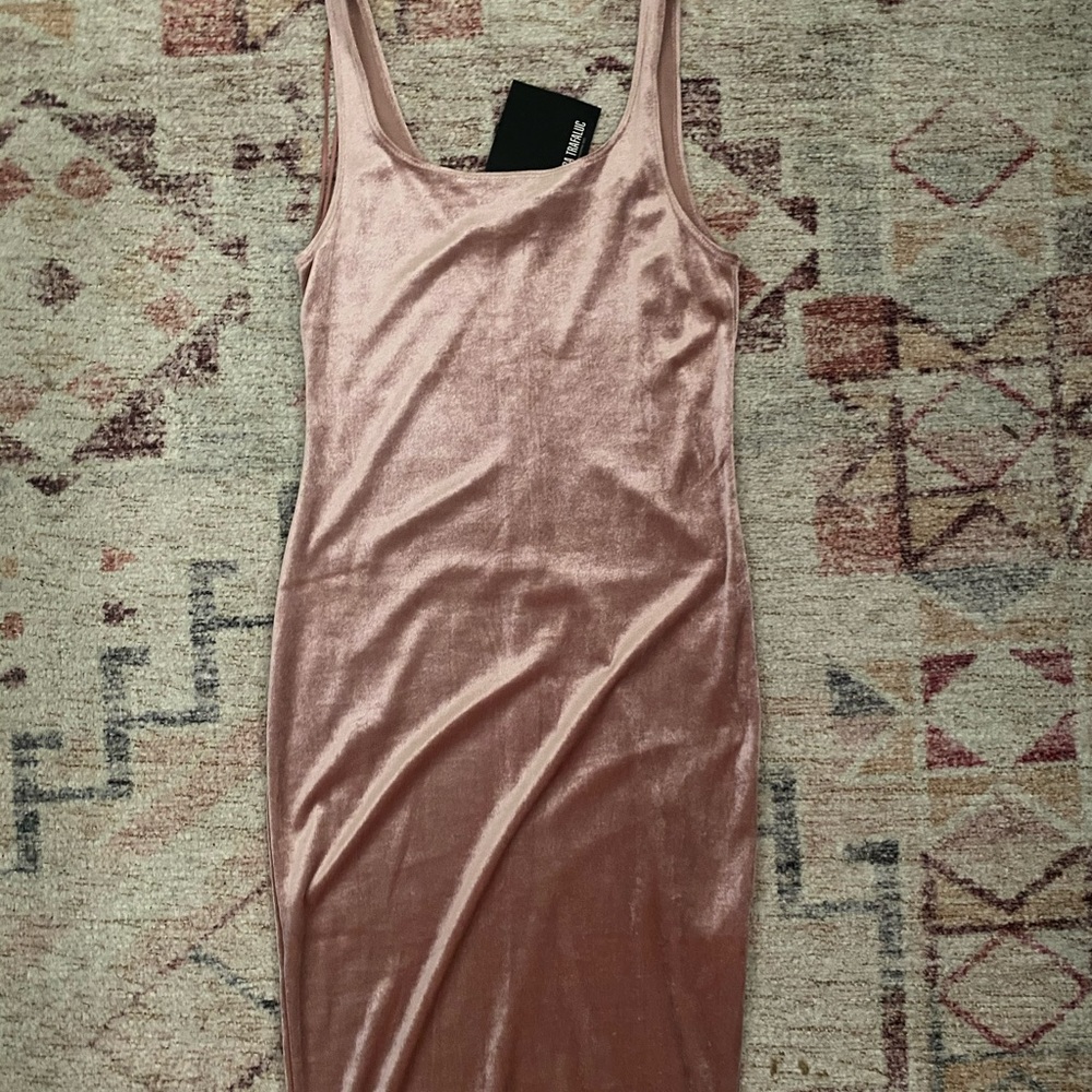 Zara Trafaluc velvet dress